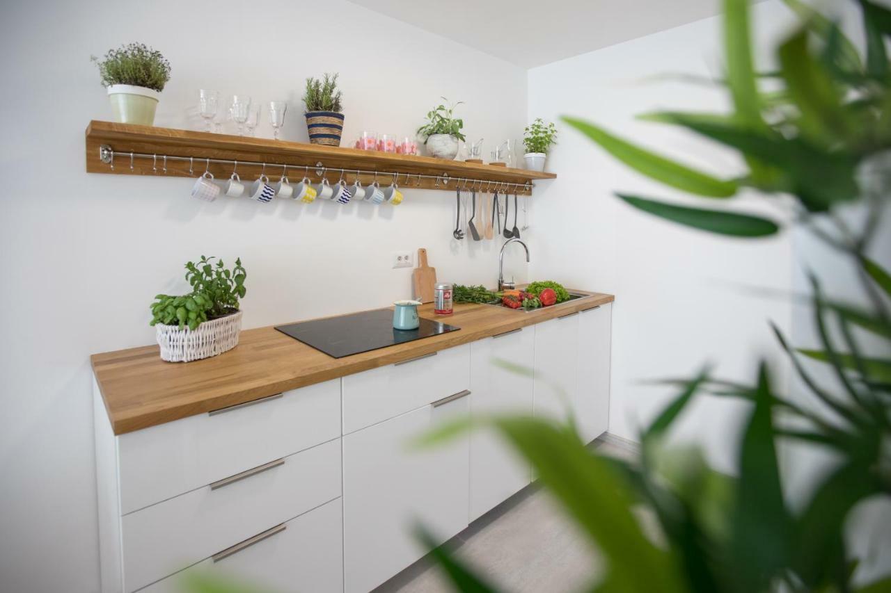 Family Apartment With Garden リュブリャナ エクステリア 写真