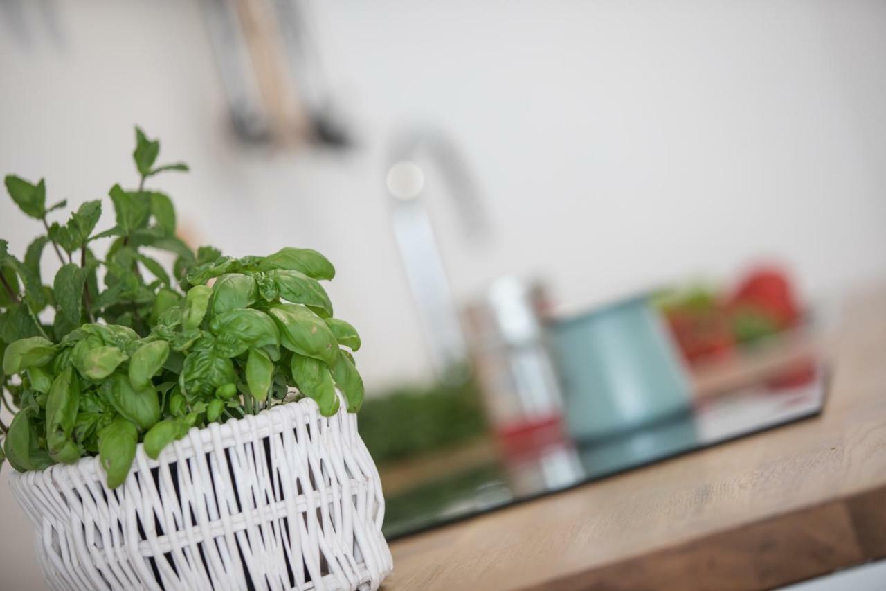 Family Apartment With Garden リュブリャナ エクステリア 写真