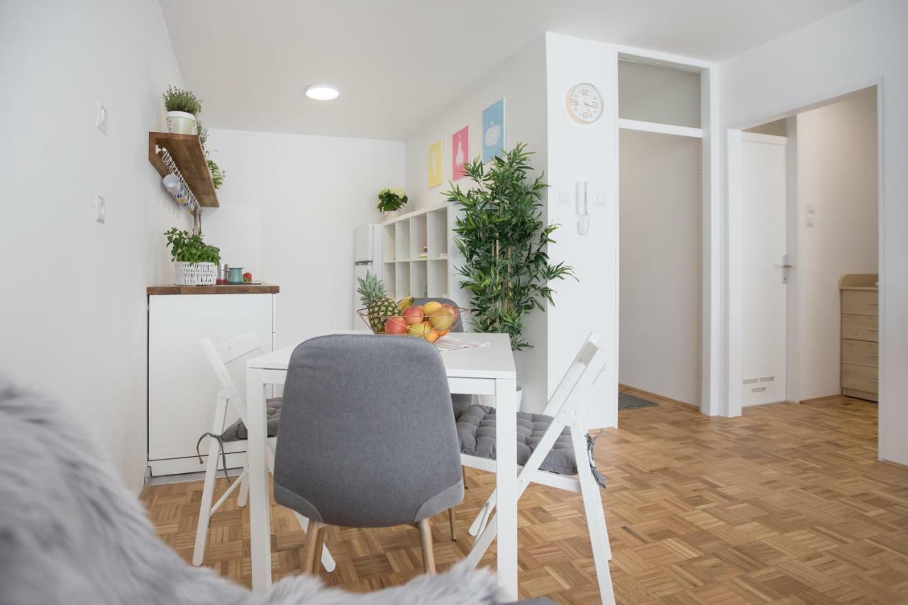 Family Apartment With Garden リュブリャナ エクステリア 写真