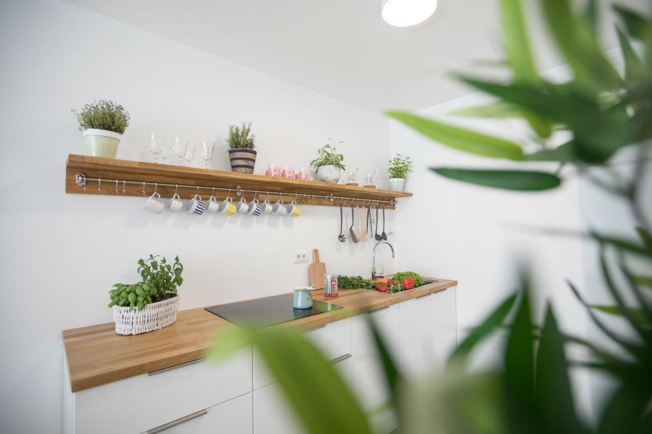 Family Apartment With Garden リュブリャナ エクステリア 写真