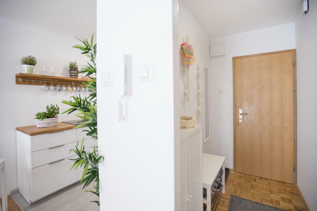 Family Apartment With Garden リュブリャナ エクステリア 写真